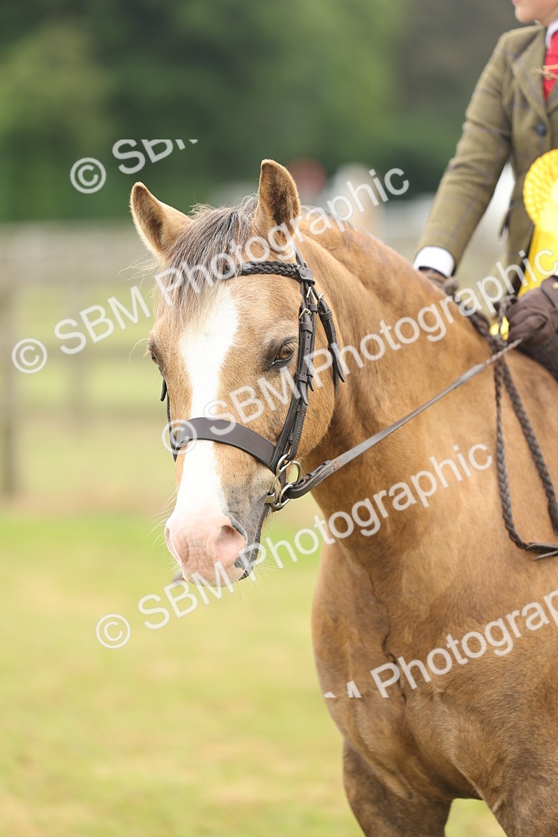 SBM_06914 - Class 74-75 - M&M Lead Rein and First Ridden Pony