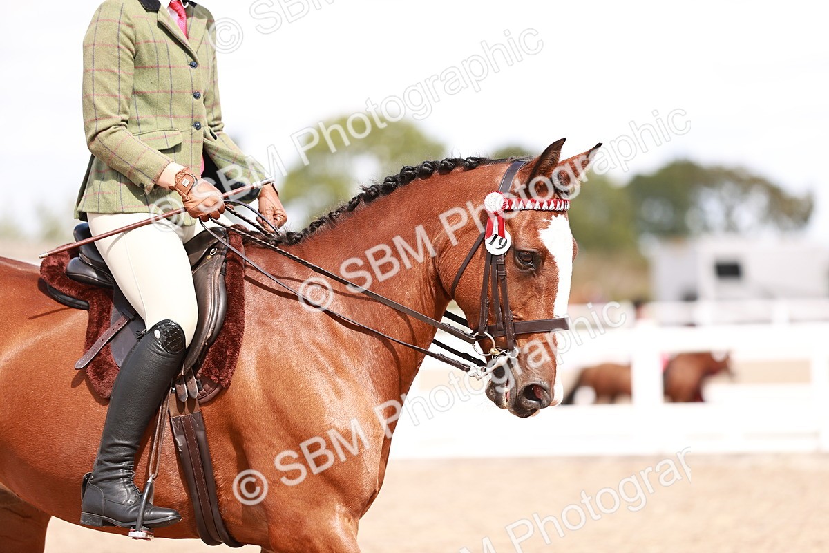 SBM_14468 - Class 410 - Grassroots Ridden - Horse