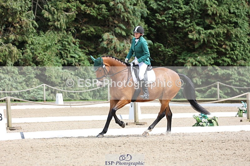 250718A-153116-02599 - 152-Tracy.OKennedy-Wylye.Harlequin