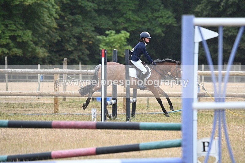 WJ6_0002 - Class 13 Novice Jumping 60cm