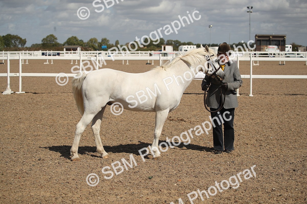 SBM_23535 - Class 605 - 2026 - Area - IH Veteran