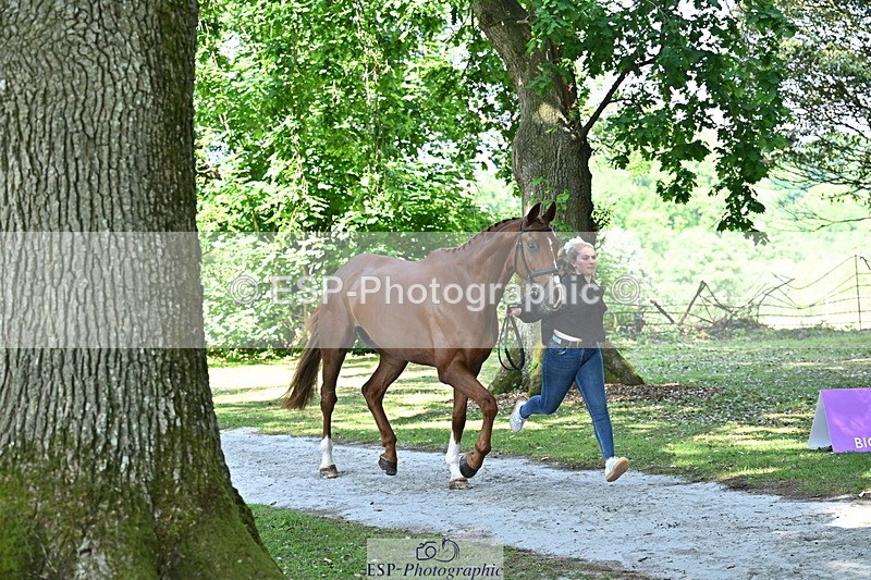 250521A-153833-00656 - B-322-Amelia.Winter-WOLK