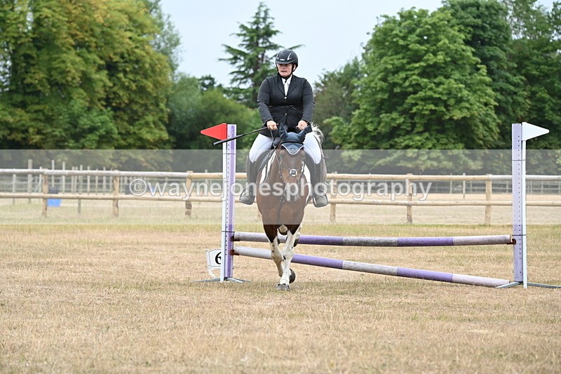 WJ6_0070 - Class 13 Novice Jumping 60cm