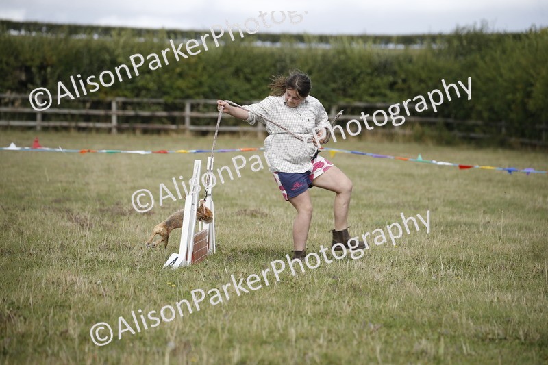 20250831-3877 - Dog Show