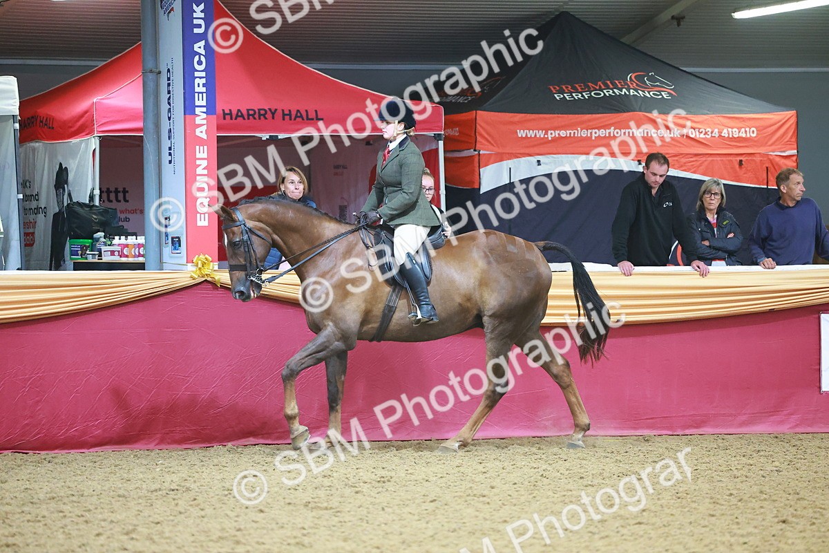 SBM_09676 - Class 102 - HOYS Veteran Qualifier - Ridden Veteran