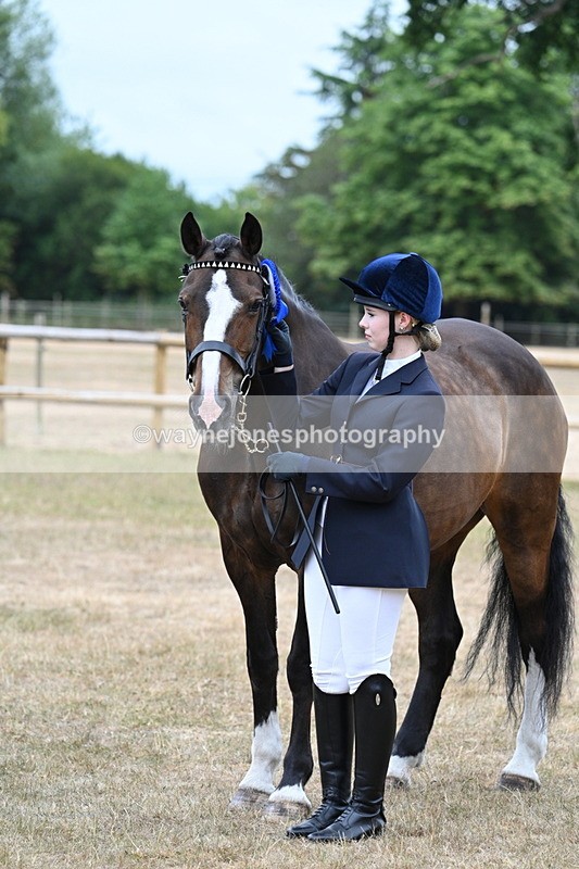 WJ7_0179 - Class 5a Most Handsome Gelding (above 14.2hh)