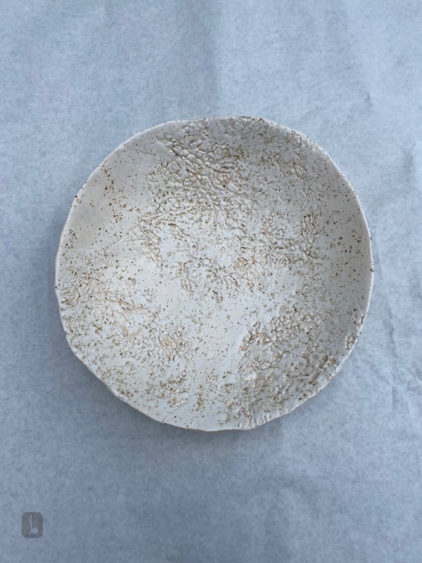 Lichen Bowl - To the Edge