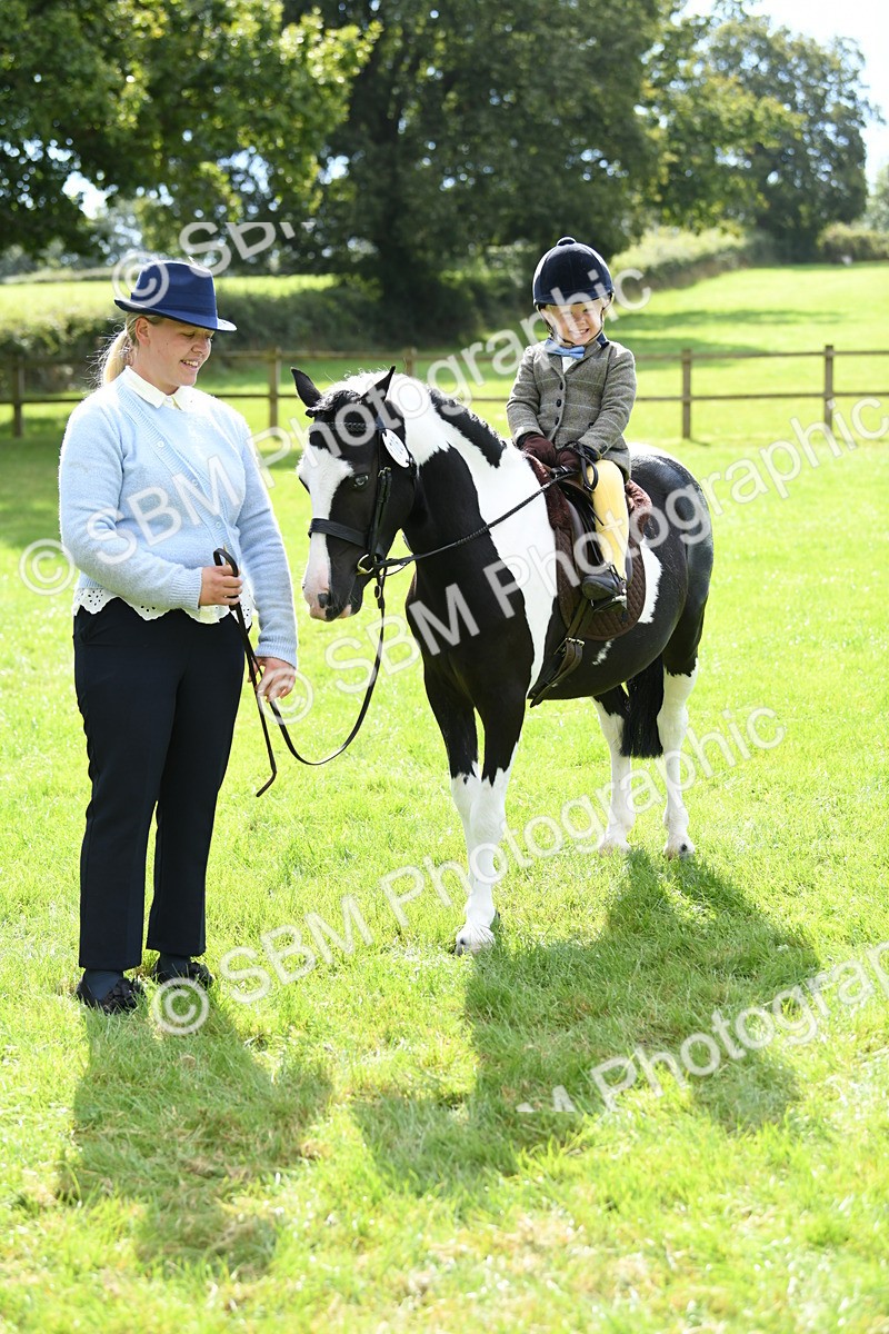 SBM_41187 - S19 - Lead Rein Show & Show Hunter Pony