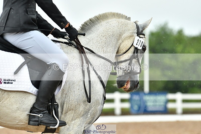 230708A-124037-02833 - Prelim 13