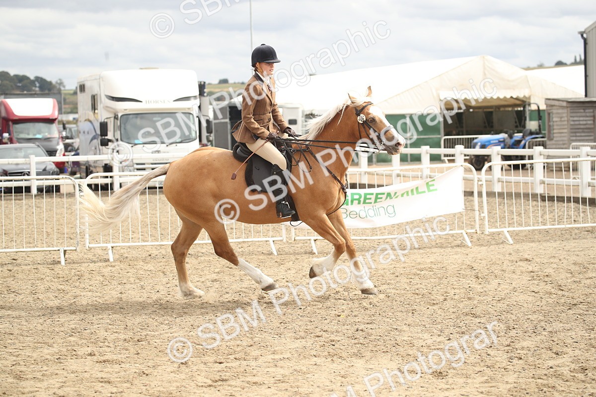 SBM_17674 - Class 508a - Working Veteran 70cm (15-19)