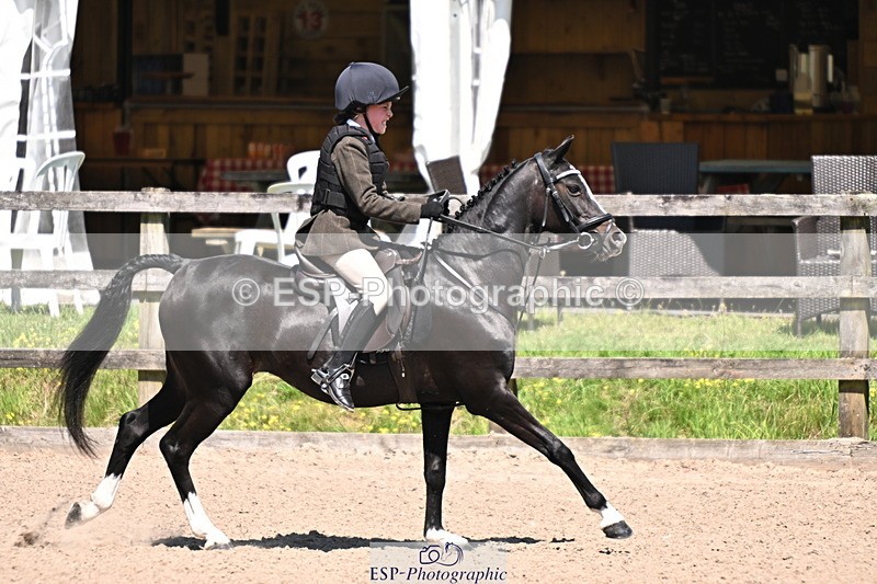 240729B-121244-02604 - Showjumping Competition