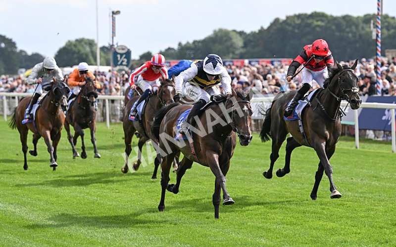 190826-185 Small Fry - Race 5 16.10pm Sky Bet Stayers Handicap