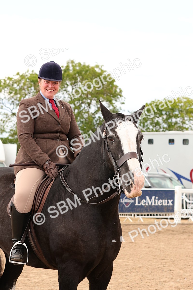 SBM_15540 - Class 214 - Ridden Show Cob