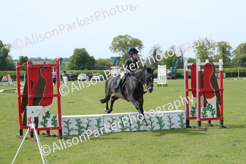 20260426-1761 - Class 14 - Novice 60cm