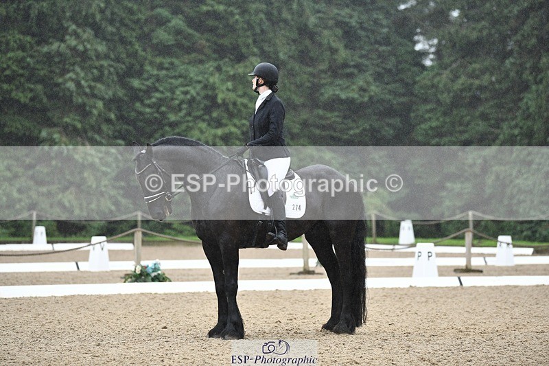 240720-094031-03569 - 274-Paige_Beattie-Orcaber_Dark_Secret
