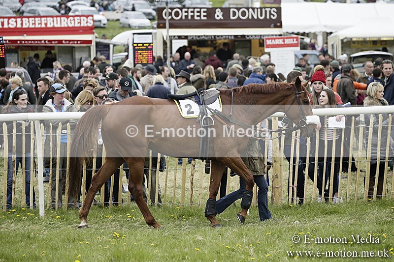 PtP 170417 472 - Old Berks Point-to-Point Lockinge 17/04/17