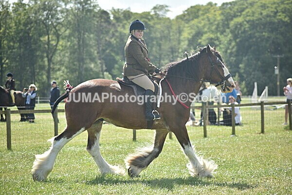 DSC_9241 - Rings 1 & 2