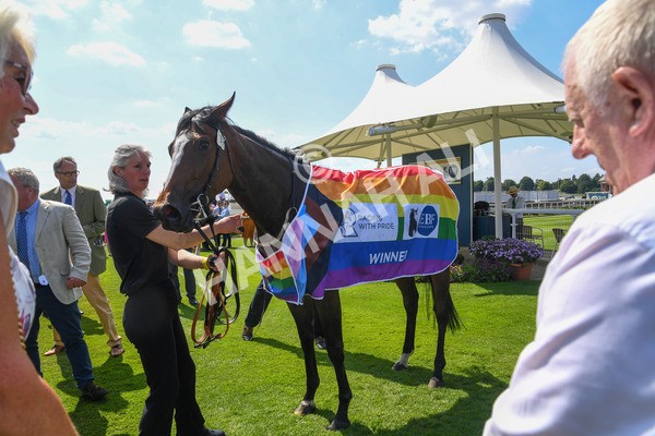 160623-Race 3-Radio Goo Goo-0240 - Race 3 3.00pm British EBF Supporting Racing With Pride Fillies' Handicap