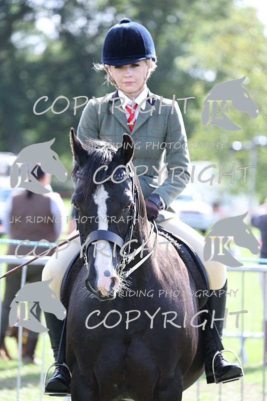 APP_3700 - Class 12 M&M ridden