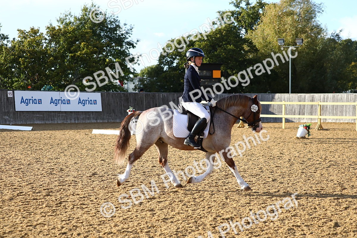 SBM_31646 - D11 - Small Tour Championship Prelim 1