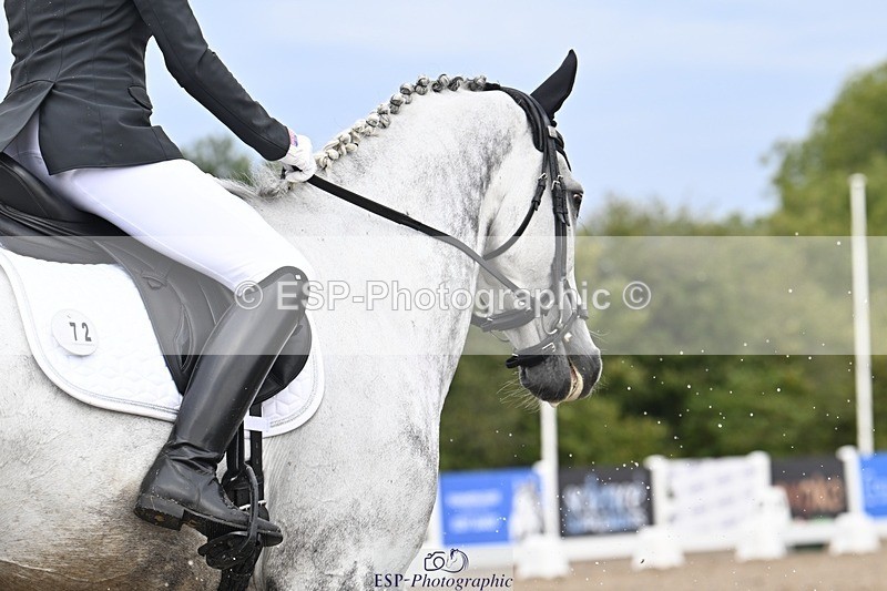 250907-111000-06524 - 072-Jan.ChoppingSeal