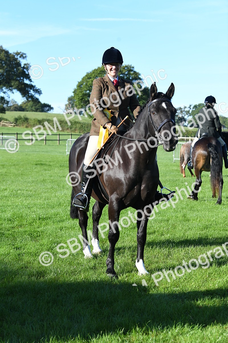 SBM_34112 - S16 - Condition & Turnout - Ridden