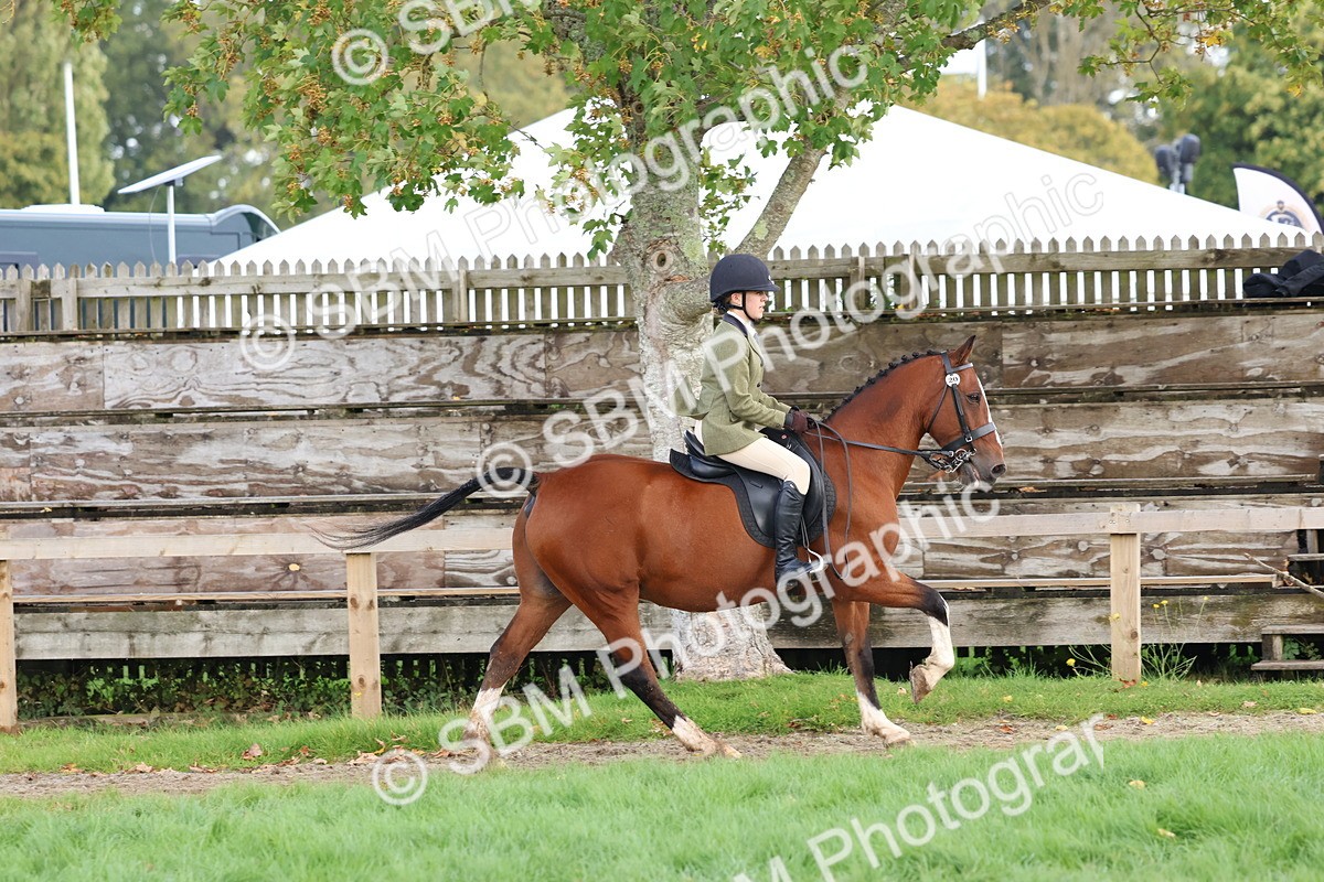 SBM_47652 - S28 - Veteran Ridden