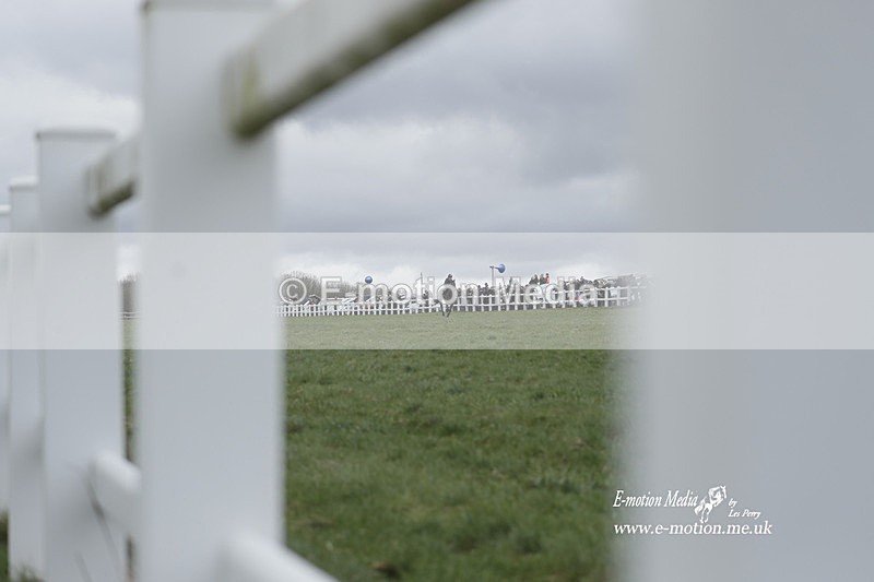 PtP 260323 0177 - New Forest Hounds Point-to-Point Larkhill 26/03/23