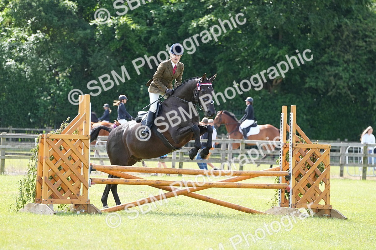SBM_12881 - Class 99 - RIHS SEIB Working Show Horse