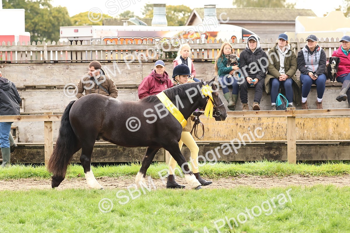 SBM_59745 - Start Supreme Championship