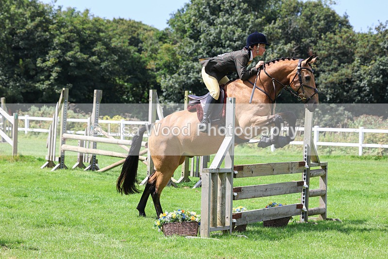 3E7A8891 - Class 6: Open Working Horse