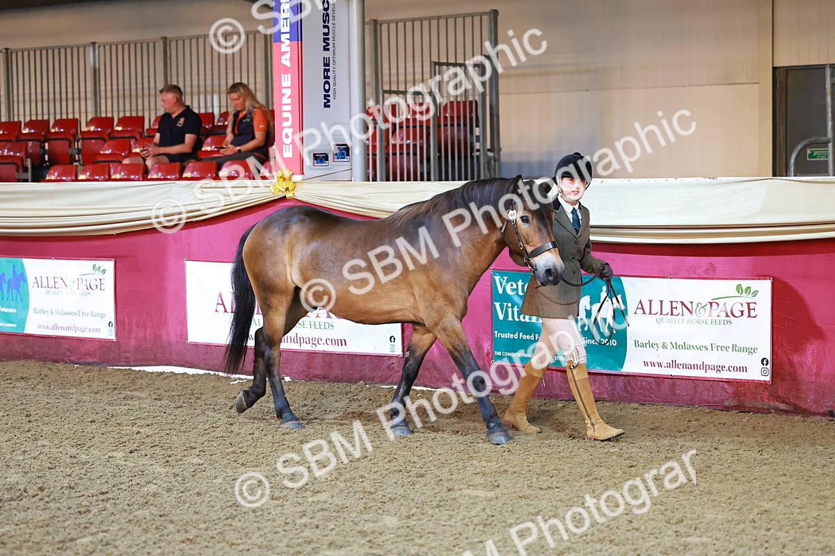 SBM_14675 - Class C - Novelty champ