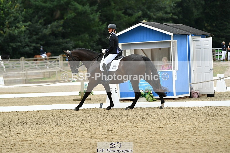 250718A-103818-00217 - 061-Louise.Christie-High.Hoes.Dandelion