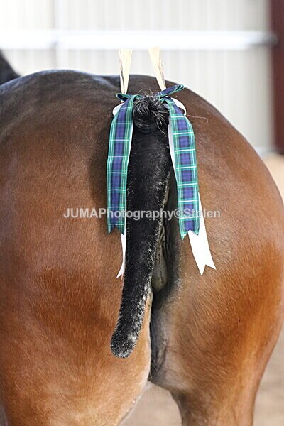 SIAL0327 - Indoor Classes