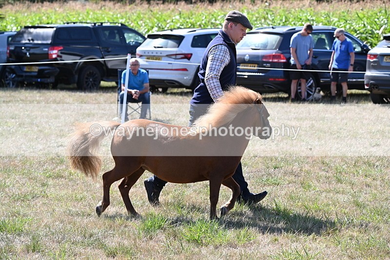 WJ6_4793 - Class 17 Mountain & Moorland