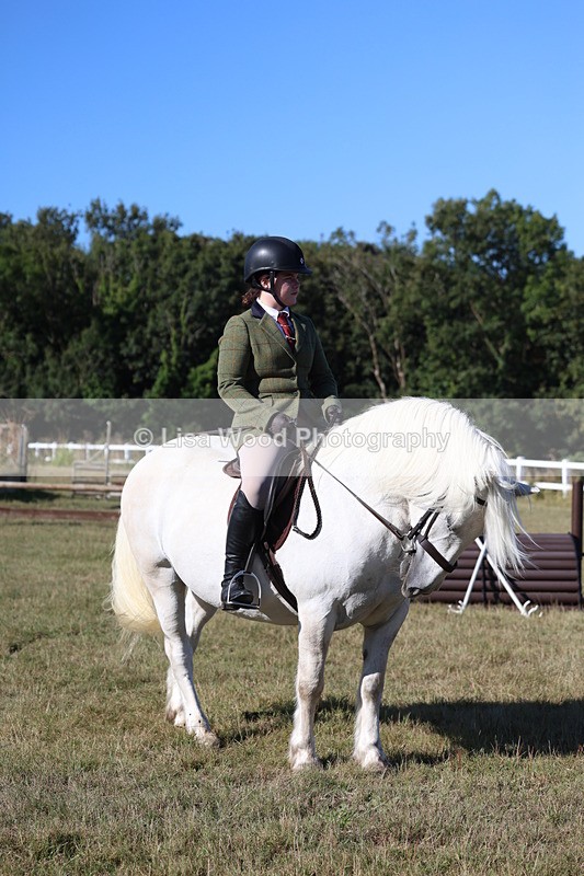 3E7A5358 - Class 2: Working Hunter 60cm