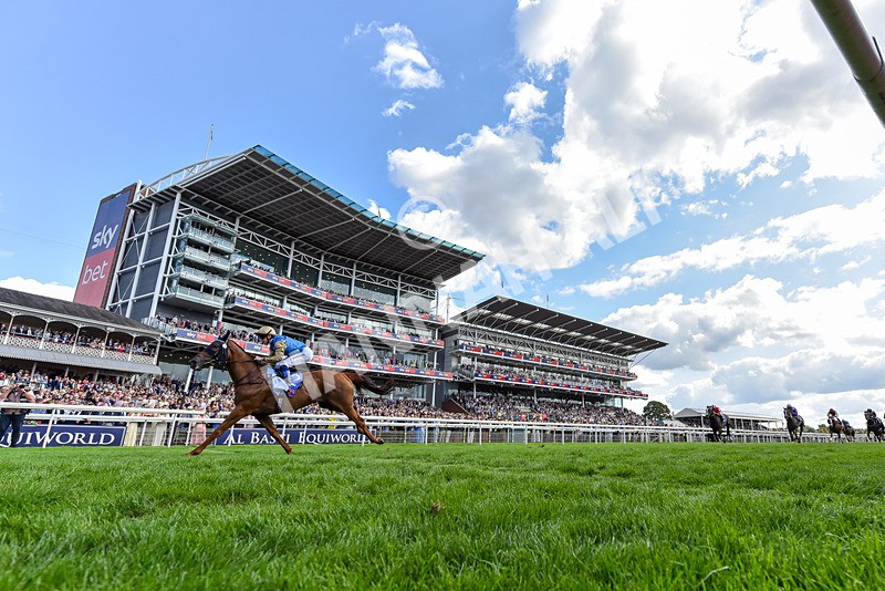 220826-Race 1-Archivist-5921 - Race 1 13.50pm Sky Bet Strensall Stakes