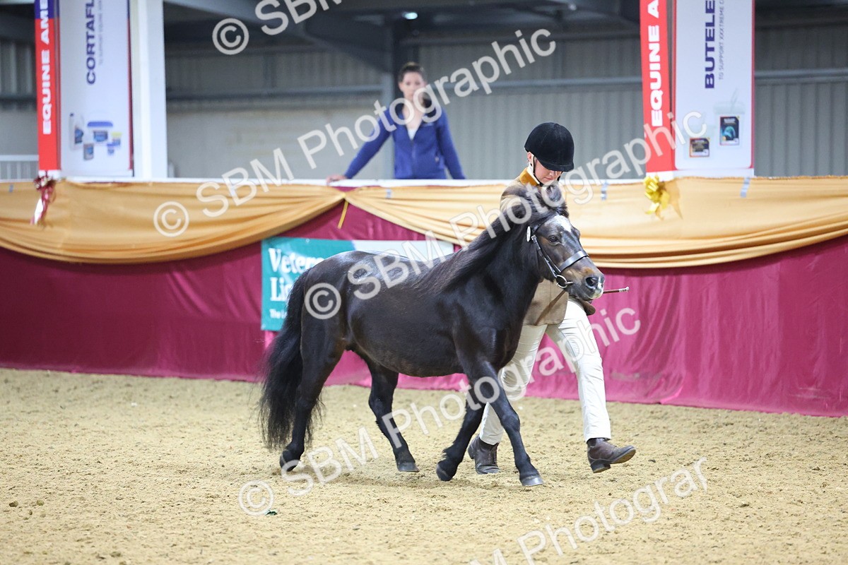 SBM_19614 - Class 901 - Supreme Final - IH Diamond