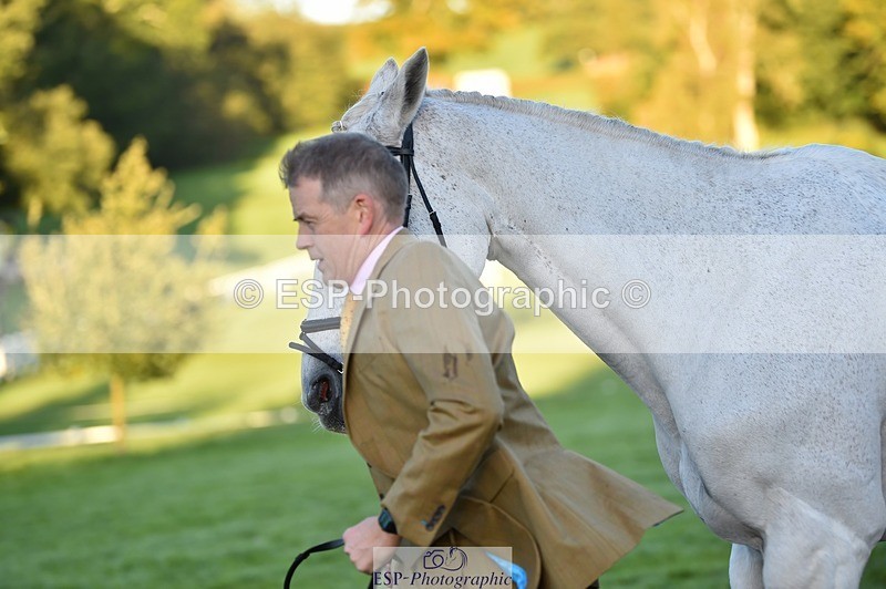 231022-084216-21303 - 608-SIR.HAROLD-William.Cursham-TrotUp+SJ