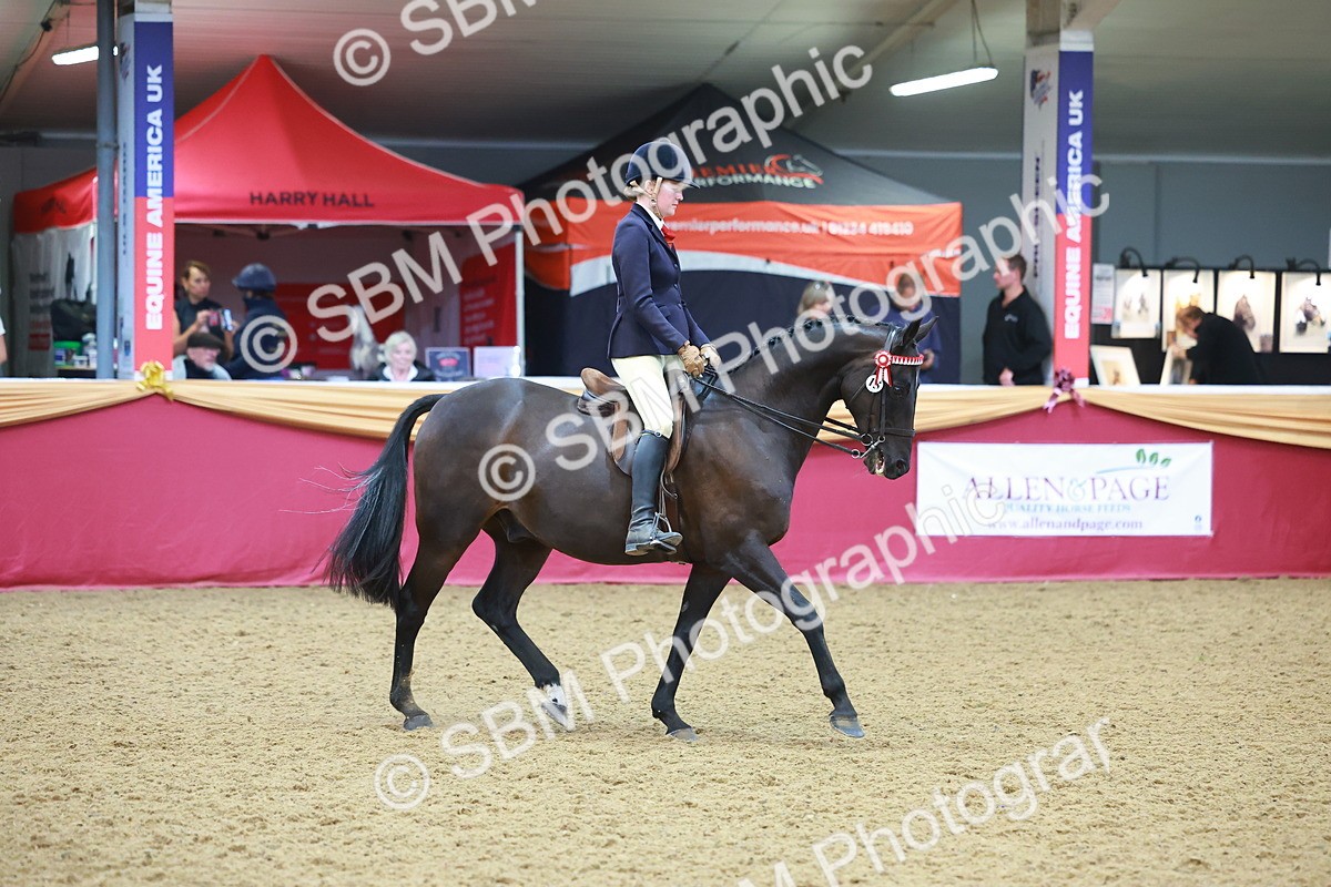 SBM_10661 - Class 103 - HOYS Veteran Qualifier - Ridden Pre Vet