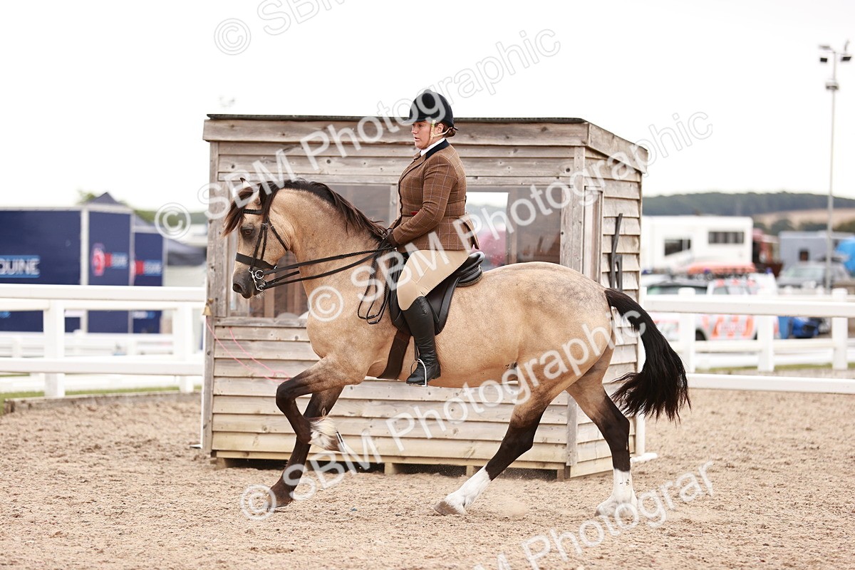 SBM_19074 - Class 422 - Ridden M&M