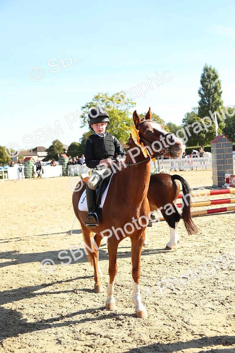 SBM_36042 - J5 - Junior Pony 50cm Championship