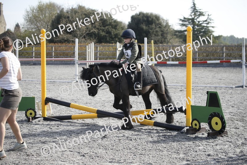 20250412-0104 - Show Jumping