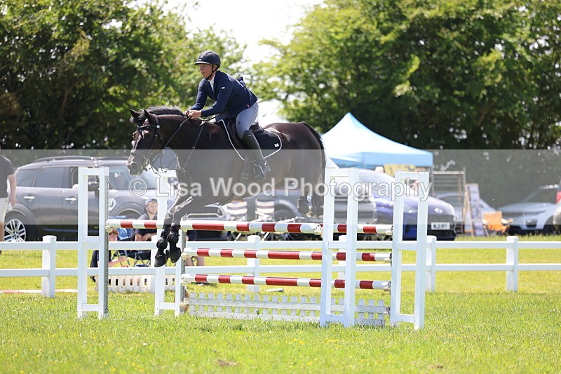 3E7A1226 - Class 12: Senior Foxhunter/1.20 open