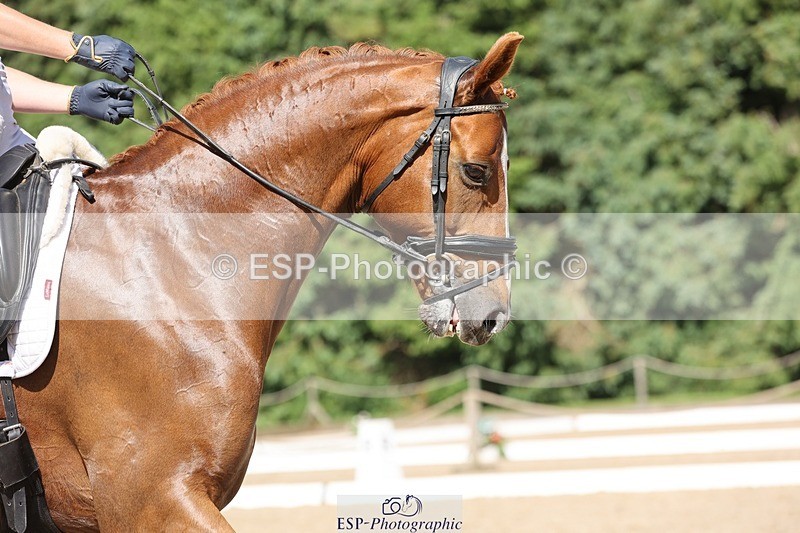 240719-161238-03065 - 191-Verity_Perry-Bianchi