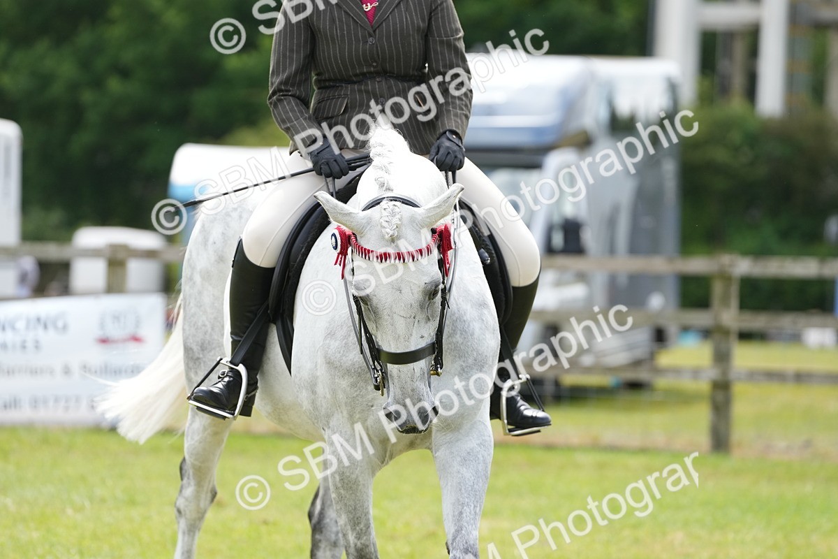 SBM_16190 - Class 105-106 - RIHS Riding Horses