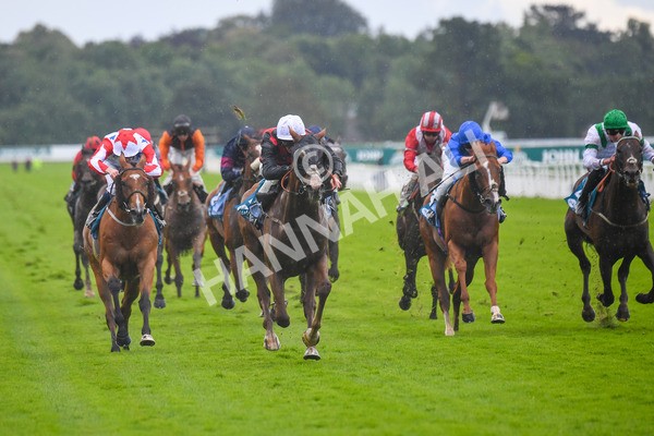 150723-Race 1-Blue For You-0064 - Race 1 2.00pm John Smith's Racing Handicap