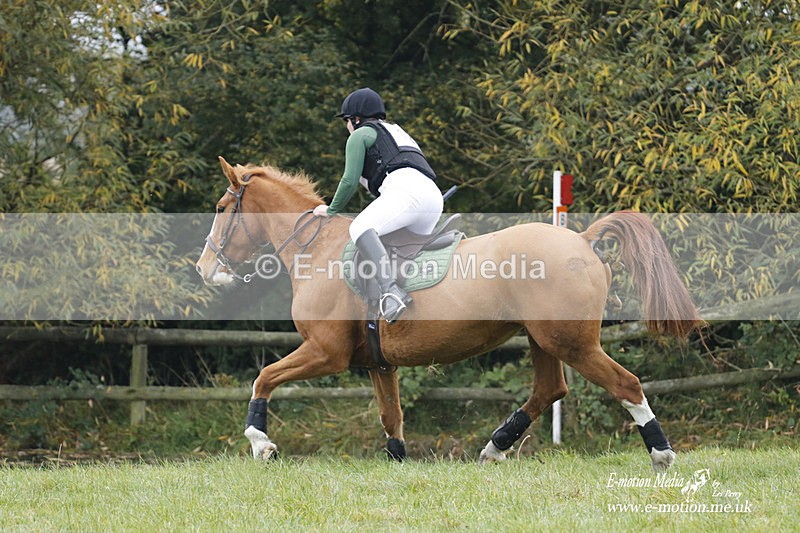 WWHT 171021 0386 - Novice Restricted (0.80m)  17/10/21