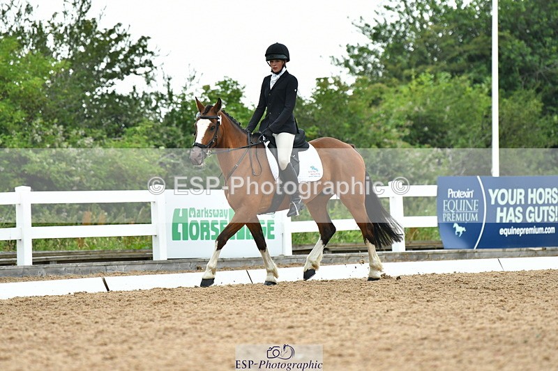 230708A-115153-02638 - Prelim 13