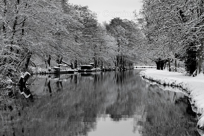  - Winter